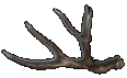 antlercreations2