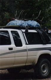 elkhuntingidaho